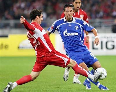 范弗里特的 范弗里特的